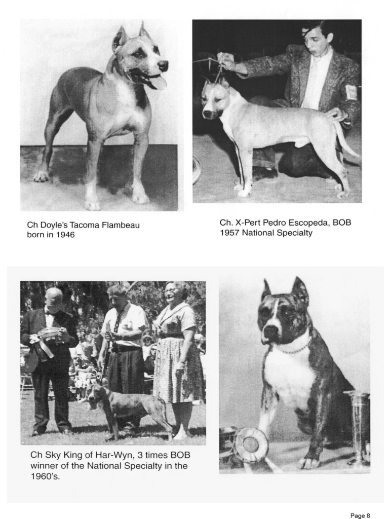 American Staffordshire Terriers Study-Guide-0923-8